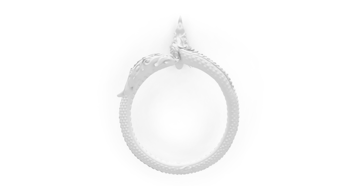 A symbol of wealth, protection, and infinite flow.NAGA - Image 3